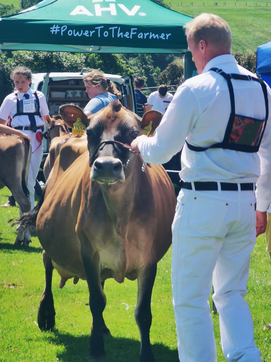 Peter Hynes 🐄🥛🇮🇪 tweet media