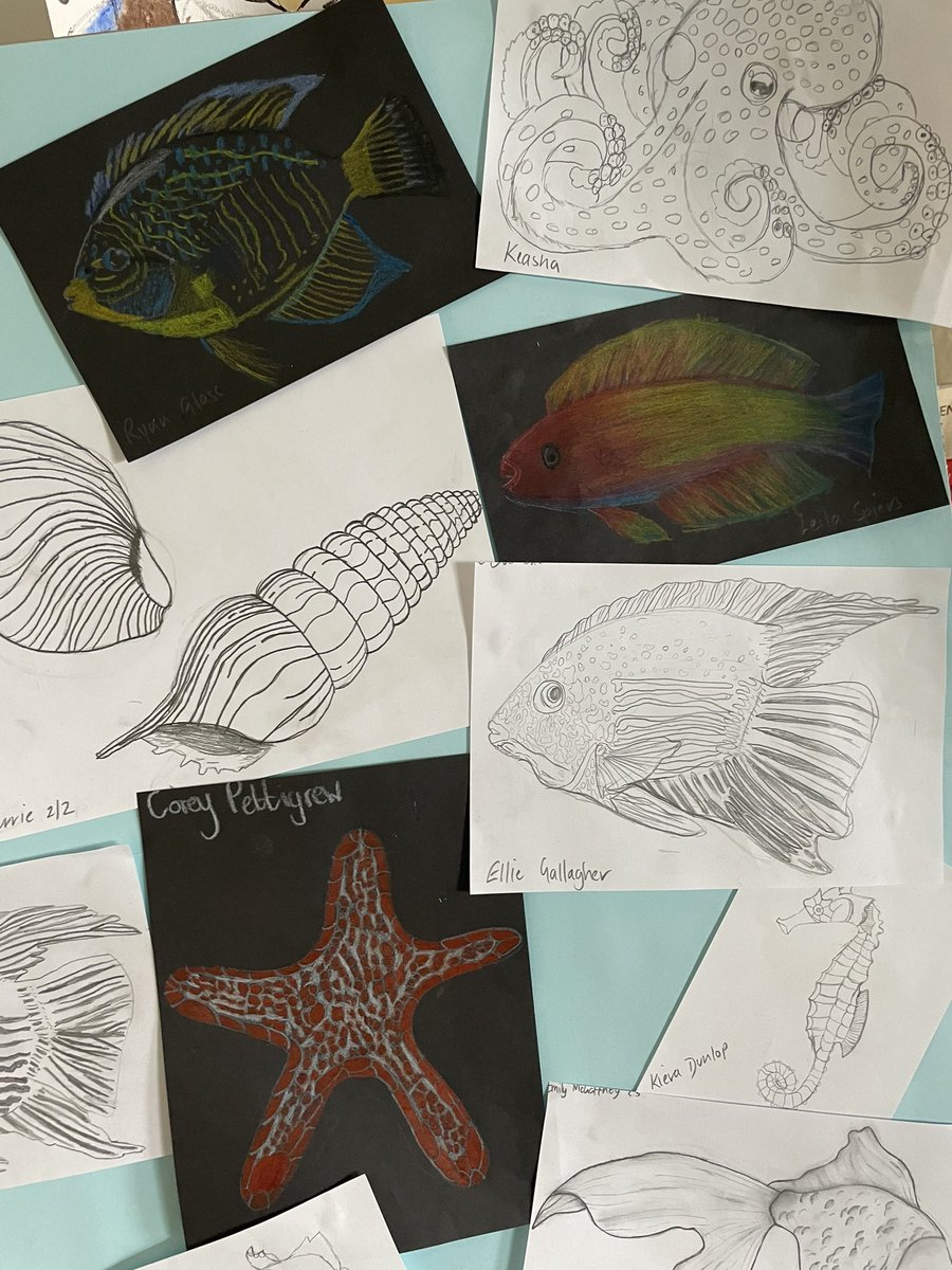 Ayr Academy Art & Design tweet media