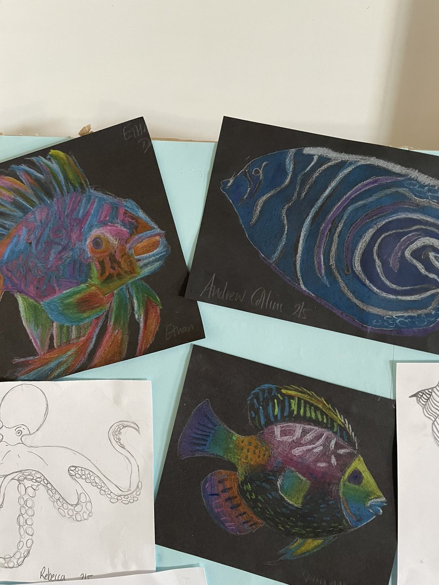 Ayr Academy Art & Design tweet media