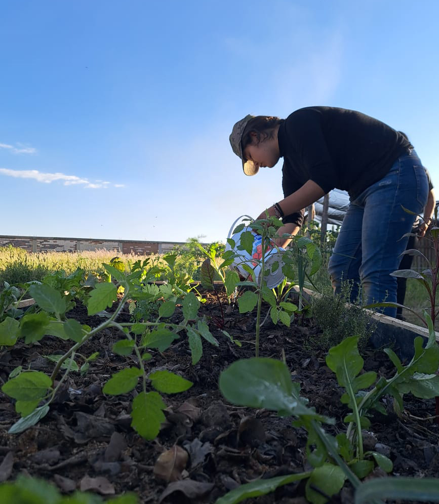 IPODERACInforma's tweet photo. Como parte del proyecto de Fundación del Dr. Simi y la iniciativa Padre Huerto en IPODERAC niñas se lleva a cabo capacitación y seguimiento para instalar huertos comunitarios. Estos espacios fungen como sitios de producción de alimentos sanos y enriquecen la educación ambiental. https://t.co/zcbxVhZ7C2
