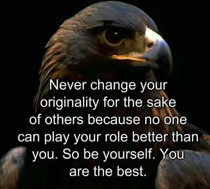 olasoju_mayowa's tweet photo. Never change your originality for the sake of others because no one can play your role better than you. So be yourself. 
You're the best.
Sadiq Umar. #NoBraDay. Samklef. Burna Boy. RCCG. Uzoho. Saudi Arabia. #Gazagenocide. https://t.co/9JqjtF2YNY