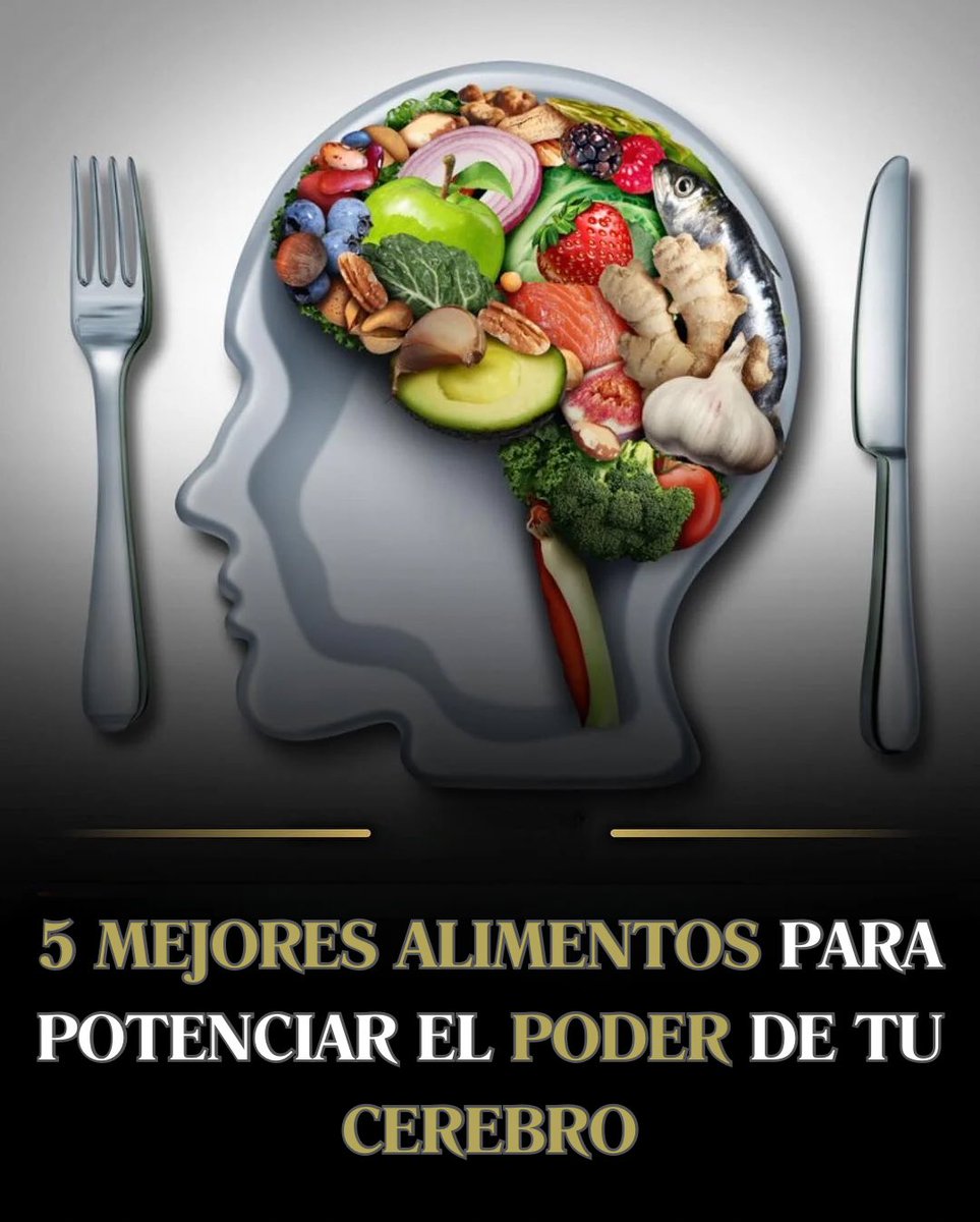 CoachPersonas's tweet photo. ¿Quieres potenciar tu cerebro?

Descubre los 5 alimentos sorprendentes que mejoran tu agilidad mental...

(El tercero te sorprenderá 🧠)

//HILO🧵// https://t.co/x45gvZddTP