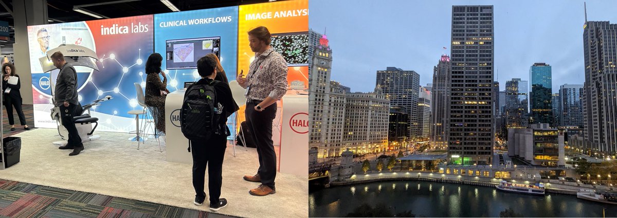 Indica_Labs's tweet photo. We had an great time at #CAP23 and appreciate all the work on the event, @Pathologists! It was a pleasure speaking with so many attendees about #digitalpathology using HALO AP (on a wonderful @igmp_unibern #Pathojet), and we can't wait for next year 📆 

#pathtwitter #IndicaLabs https://t.co/Qh5MxmLemu