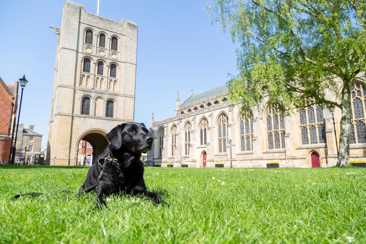 If like us, you believe Bury St Edmunds is the very best place for four-legged friends, make sure you vote for us in @dogfriendlyinfo's 'Most Dog Friendly Town in the UK' award! 🐶🏆👇 dogfriendly.co.uk/town-city/list… #DogFriendlyBSE #BuryStEdmunds #DogFriendly