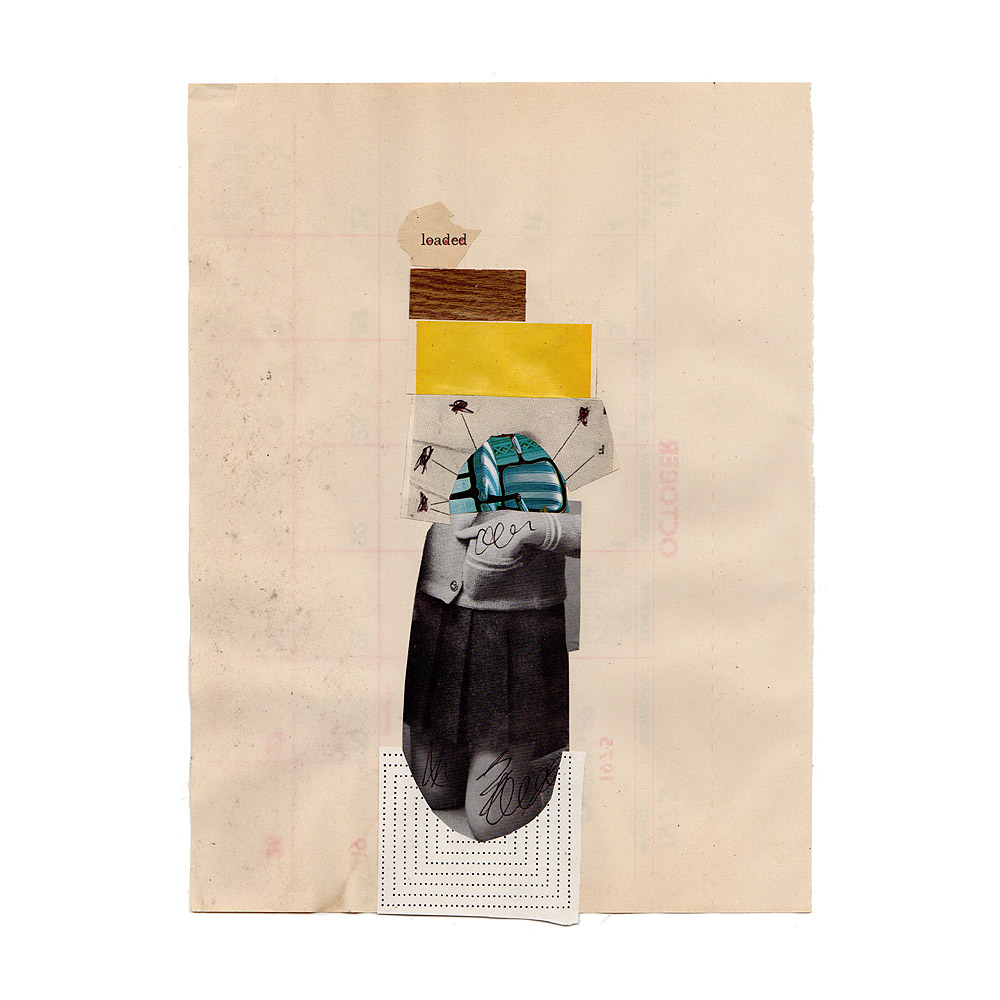 fred free tweet media