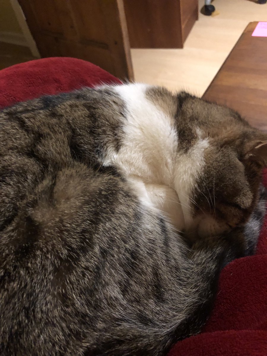 J Laurence Sarno (@laurencesarno) on Twitter photo 