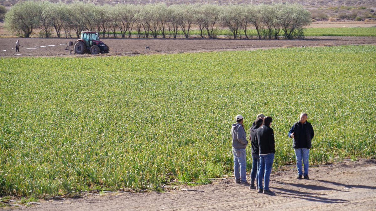 SecAgri_LR's tweet photo. Junto a Segundo Magneres y Mauro Nervi  cofundadores de la empresa Tres Quintos, recorrimos producciones agropecuarias de nuestra provincia, donde vieron de primera fuente todas nuestras cualidades y potencialidades, con el fin de arraigar sus inversiones en nuestra provincia https://t.co/VjTikgazIf