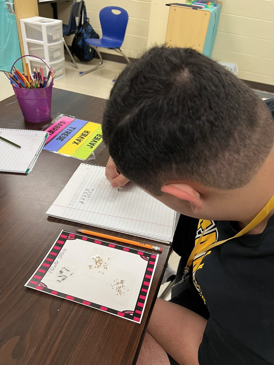 BrennanHS_ALE's tweet photo. We’ve been busy over in ALE! My science classes have been learning about plants and today we did a seed investigation. They compared the seeds of trees, flowers, fruit, and vegetables and recorded them in their interactive notebooks! @NISDBrennan @Brennan_SE @NISDSpecialEd https://t.co/ubZGAzhhlc