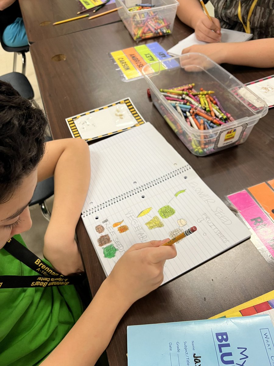 BrennanHS_ALE's tweet photo. We’ve been busy over in ALE! My science classes have been learning about plants and today we did a seed investigation. They compared the seeds of trees, flowers, fruit, and vegetables and recorded them in their interactive notebooks! @NISDBrennan @Brennan_SE @NISDSpecialEd https://t.co/ubZGAzhhlc