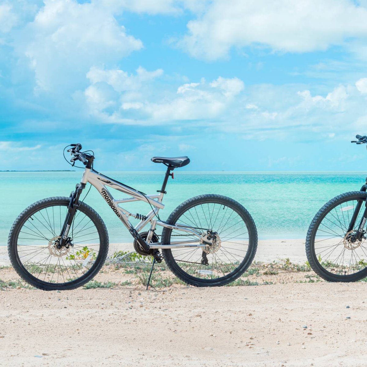 Exploring Turks & Caicos by bike? Yes please. 🚴🏽 Check out our cycling map of routes around Providenciales: visittci.com/providenciales… 📍 South Caicos
