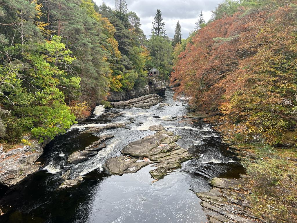 bestscottish's tweet photo. Stunning autumn colours in Invermoriston π The walk through the woodlands here is one of our favourites, and it's extra special at this time of year
πΈ Driver Terry
#Scotland
#ScottishTour
#VisitScotland
#TourScotland
#VacationScotland
#BestScottishTours
#ScottishHighlands https://t.co/WznxyLKVHY
