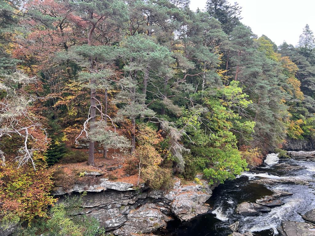 bestscottish's tweet photo. Stunning autumn colours in Invermoriston π The walk through the woodlands here is one of our favourites, and it's extra special at this time of year
πΈ Driver Terry
#Scotland
#ScottishTour
#VisitScotland
#TourScotland
#VacationScotland
#BestScottishTours
#ScottishHighlands https://t.co/WznxyLKVHY