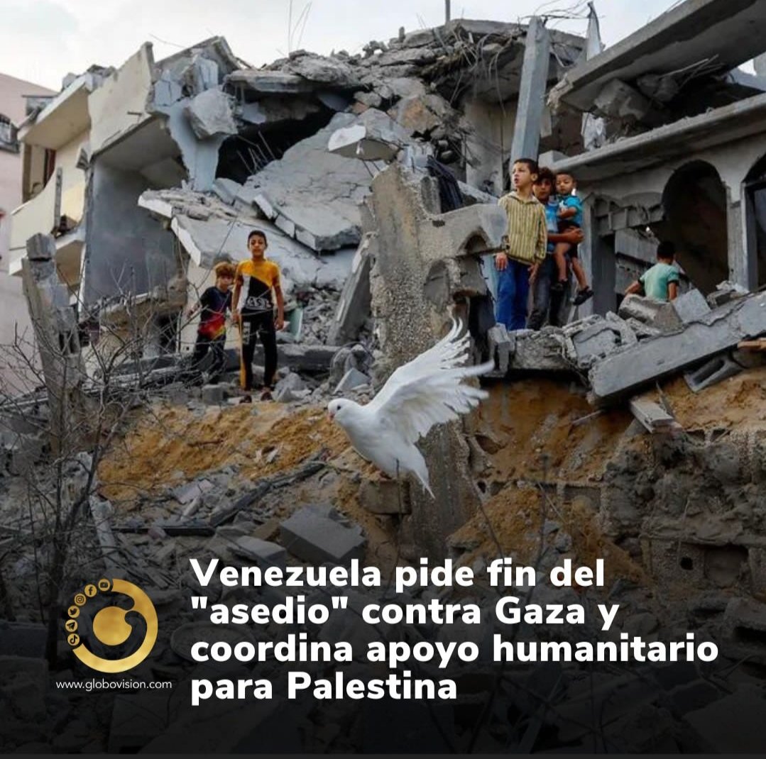 caular03's tweet image. Es imposibles que un grupo de 🐀🐀🐀 dictadores estén a favor de unos terroristas HP que están dañando el mundo al igual que tú @NicolasMaduro y @dcabellor  que son la peor plaga que an llegado a Venezuela
Enfoquence en irse ladrones y dejar a Venezuela en paz HP 🐀🐀🐀🐀