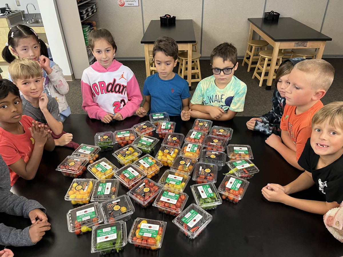 Second graders just harvested 27 pints of tomatoes (cherry, orange, yellow pear, tiny treat) and several pints of peppers. Lots of happy, healthy eating from our sustainable Glen Giving Garden!