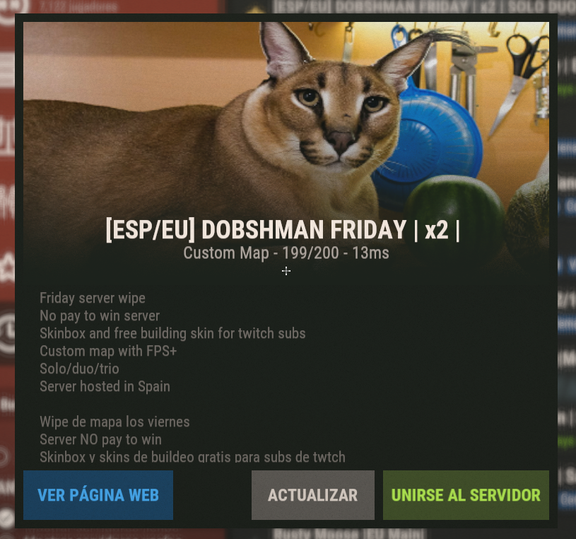 DOBSHMAN 🇪🇸 tweet media