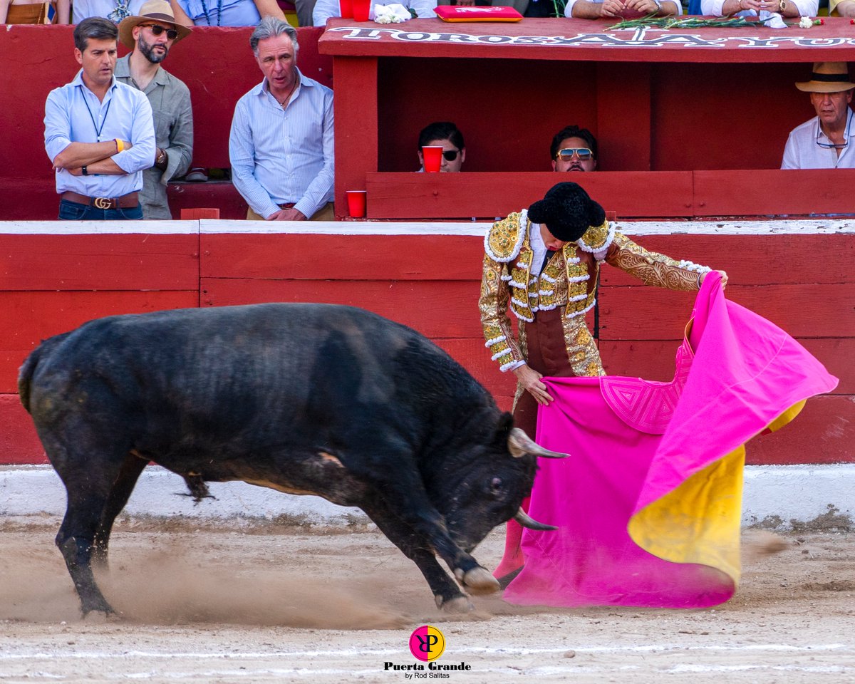 Rod_Salitas's tweet photo. Solo 9 días para el inicio de la Temporada  en nuestra Plaza de Toros Mérida, con un cartel donde hace casi 2 semanas se colgó el "NO HAY BILLETES".
La despedida del rejoneador navarro Pablo Hermoso de Mendoza,Arturo Gilio y Diego San Román con 6 de  LA ESTANCIA.
@TorosYucatan1 https://t.co/oaaoE7c0eD