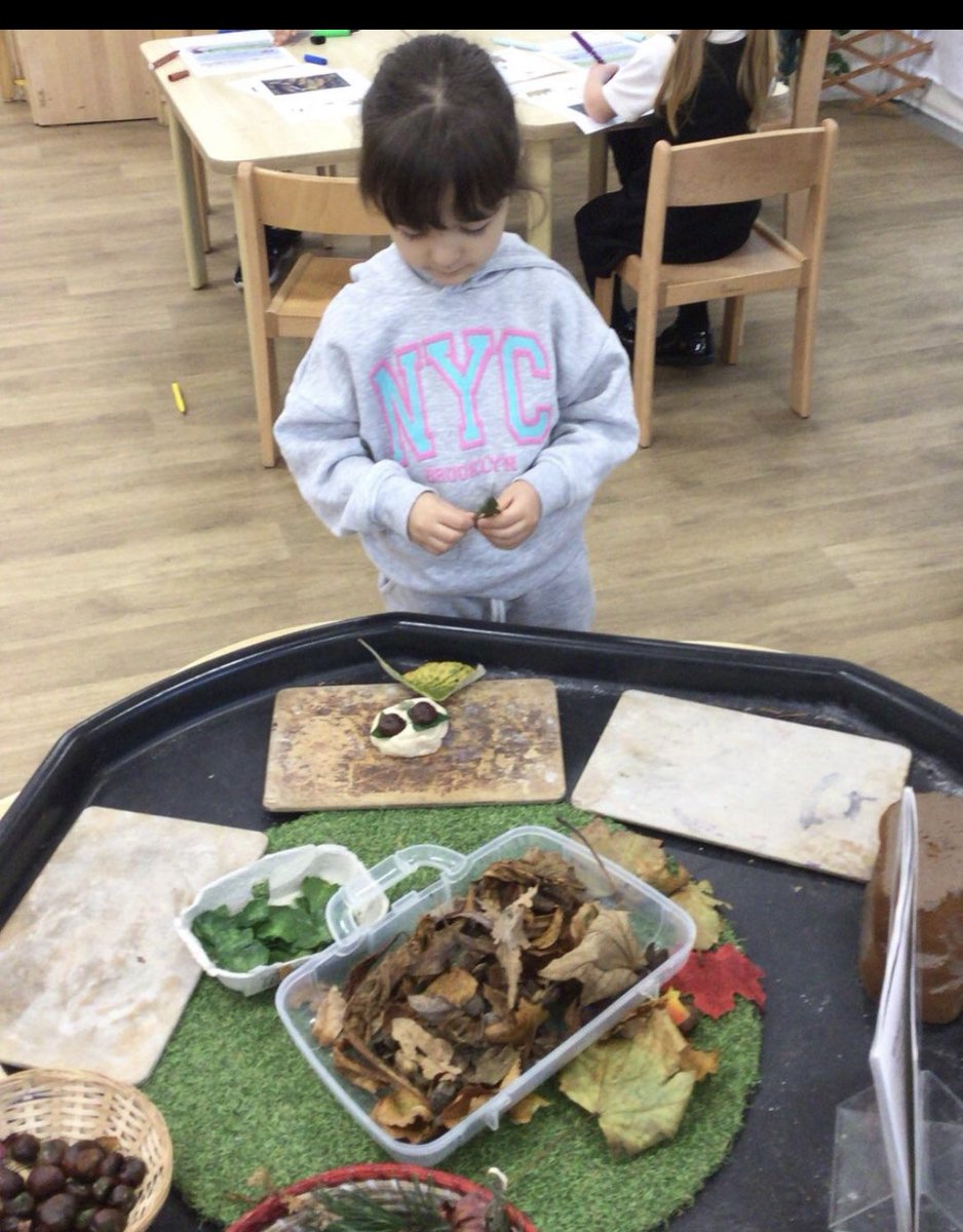 Meadowside Sunflowers Nursery tweet media