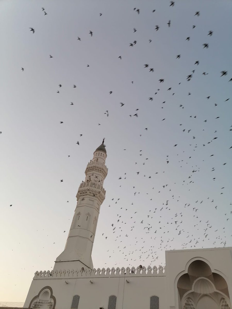 alsalwah_'s tweet photo. أسلمت قبيلة دوس بالدعاء ، وآمنت أم أبي هريرة بالدعاء ، واغتنى ابن عوف وعروة البارقي بالدعاء ، وشُفي سعد بالدعاء ، ونُصر النبي ﷺ في بدر بالدعاء ، وتفقَّه ابن عباس -رضي الله عنهما- وأصبح رأسًا في العلم والتأويل بدُعاء رسول الله ﷺ 
ولا تزال شفتاك مُطبقتين؟ https://t.co/3kFofZVO9N