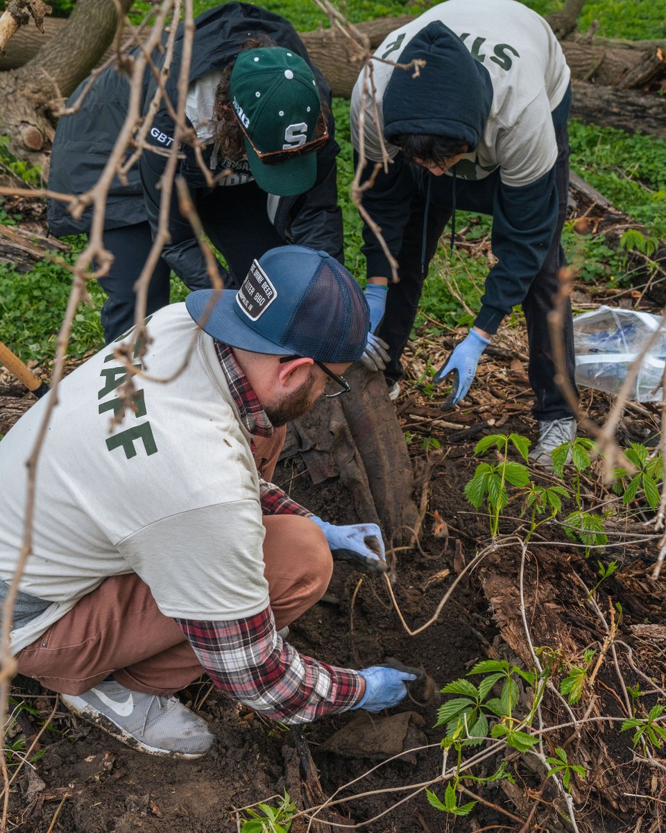 Teamwork makes the dream work 💪

Don't miss your chance to: 
🌊 Discover the importance of our watershed
🌱 Connect with fellow environmental advocates
🗑️ Contribute directly to the restoration of Wallet Island and Butterfly Island

🔗: bit.ly/48IwCpF