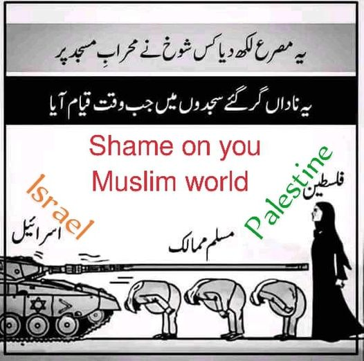 3TInfoTinker's tweet photo. O' Palestine, I'm ashamed.😥😥😥😥 https://t.co/dcjJXcVq6t