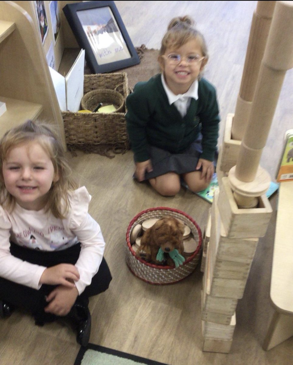 Meadowside Sunflowers Nursery tweet media