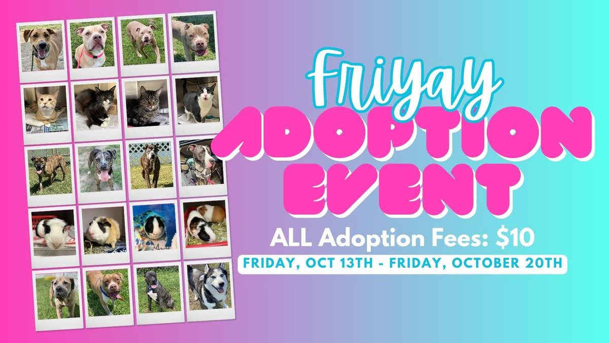 It's #FRIYAY! 🎉

ALL adoption fees are just $10 starting today! You've had your eye on a new best friend - it's time to make the move.

🐾 Come see us, 12 PM to 5 PM 🐾

#VBACAC #VirginiaBeach #VB #AdoptVB #AdoptAShelterDogMonth #AdoptAShelterDog #SupportYourLocalShelter