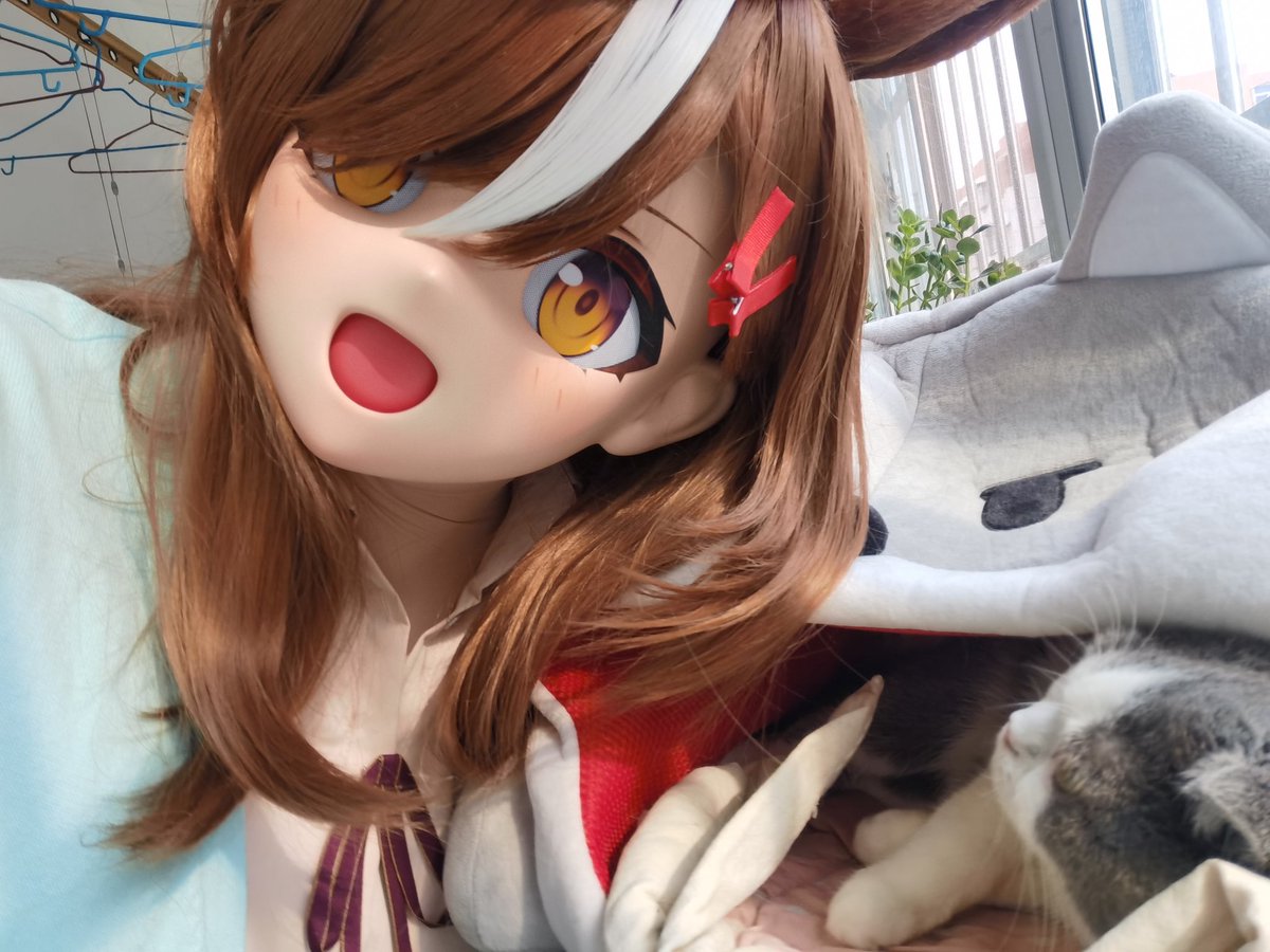 劣质农家肥 tweet media