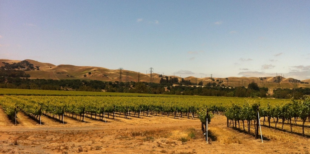 This month we are showcasing our member @lvwinecountry! This gorgeous Californian valley is home to over 50 wineries and produces wines including Merlot, Sauvignon Blanc, and Chardonnay. Learn more about them at their website: lvwine.org #LocationMatters