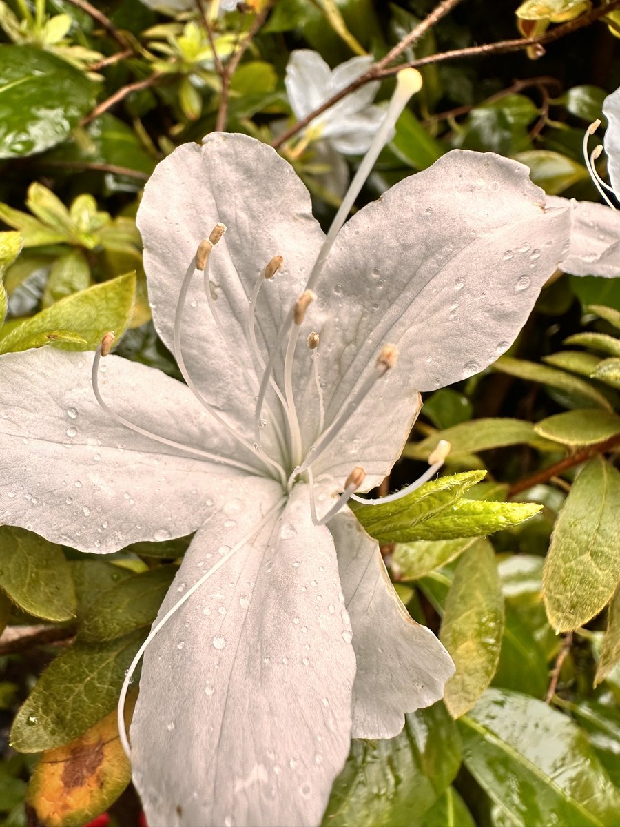 jdocops's tweet image. Yo también tomo fotos bonitas