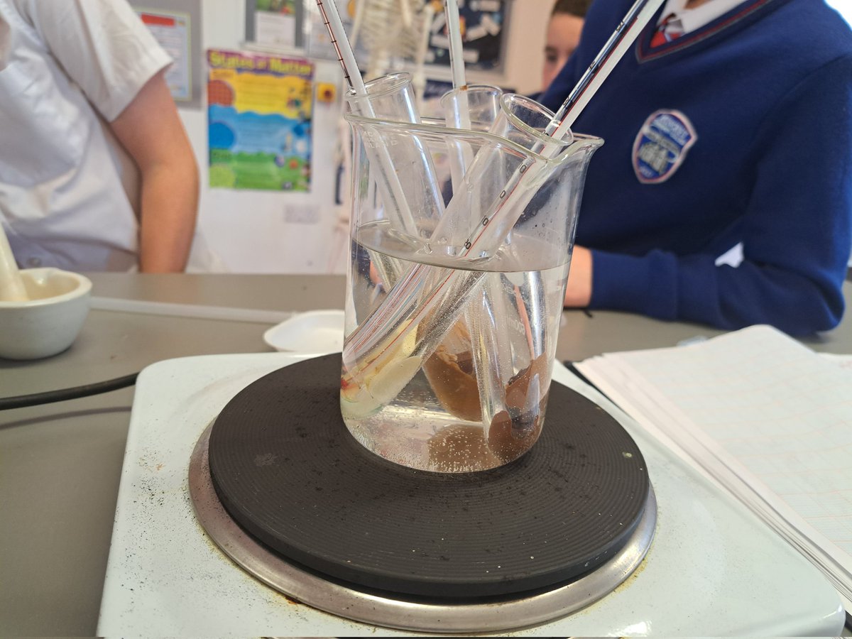 So which type of chocolate has the lowest melting point? First years @mungretcc working on their lab skills #Juniorcycle #Science #activelearning