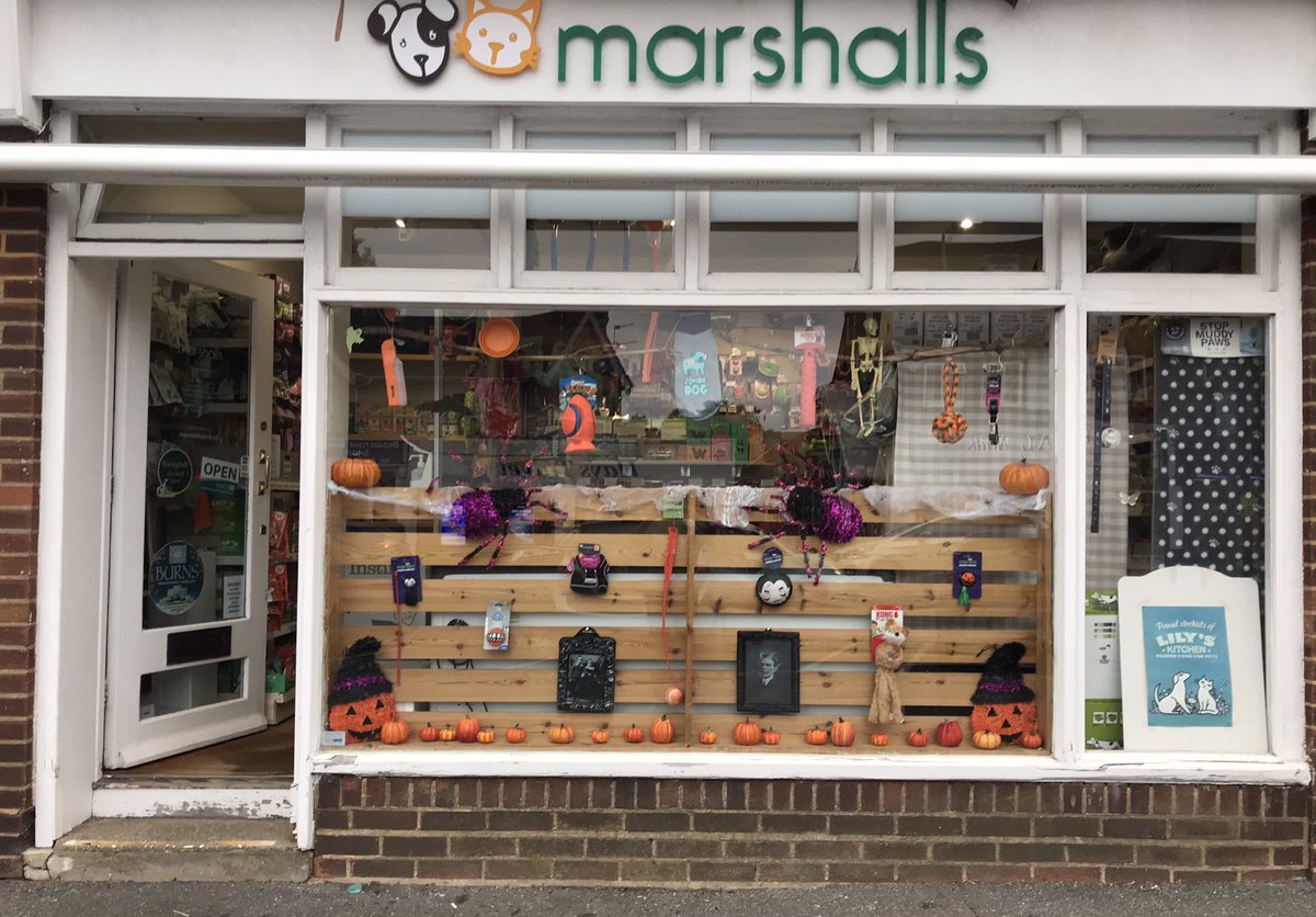 It’s beginning to look a bit spooky out there!👻 🎃
#halloween 
#pumpkin🎃