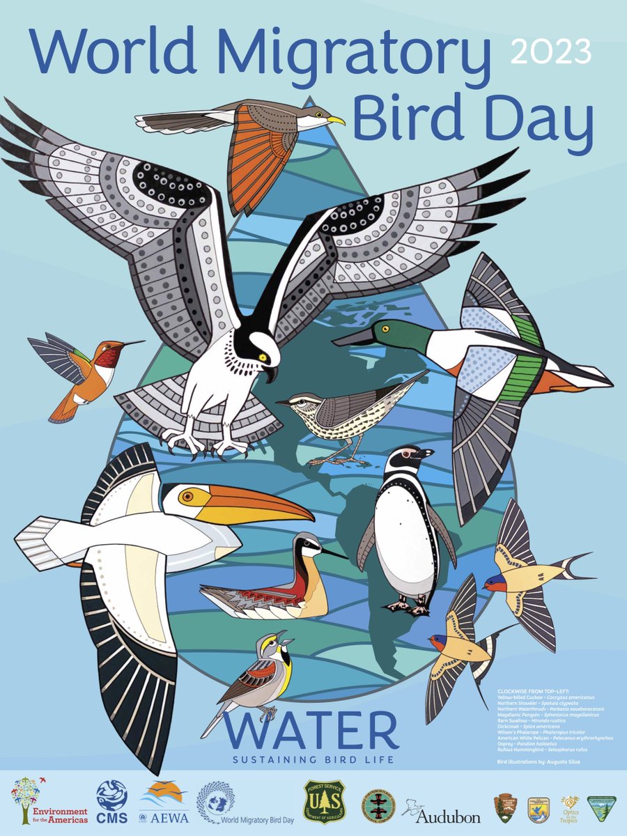 Tomorrow (10/14) is the fall celebration of #WorldMigratoryBirdDay. So grab your binoculars, get outside, and join the international celebration of birds and the water we all depend on!
fws.gov/.../202.../wor…