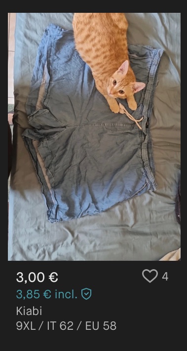 LisaBettaAlMare's tweet photo. Ci sono venditrici su Vinted che sono bravissime a farsi notare 😻 https://t.co/y6kyfjeiHE
