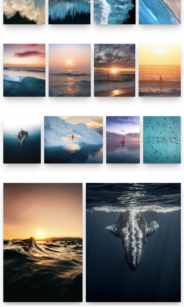 MattWalch4's tweet photo. Gm frens!

Love to see my work in people collections and homes…

Now part of @TapirOne’s Ocean collection and currently residing in @Kiskadee_NFT’s @TokenframeNFT!

« Whales for the people » finding its people 💙 https://t.co/mKVtXBHG1I