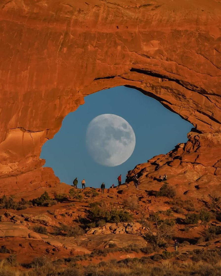 MOON LOVER tweet media