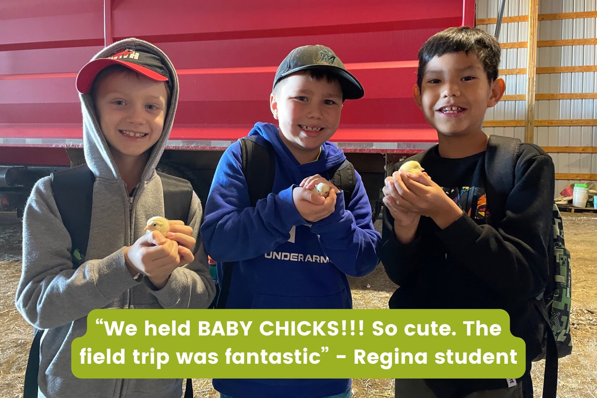 aitcsk's tweet photo. Almost ✨1,500 STUDENTS✨ visited a #FoodFarm this Fall!
Food Farms got students out to a farm where they formed real-life connections to where their food comes from.
THANK YOU to our incredible host partners, all the volunteers & our #AITCSK team who made this a success.💚 https://t.co/yFSoRQl0i4