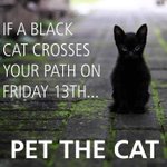 Photo by HealthySolutions4Pet (@HealthySol4Pets)