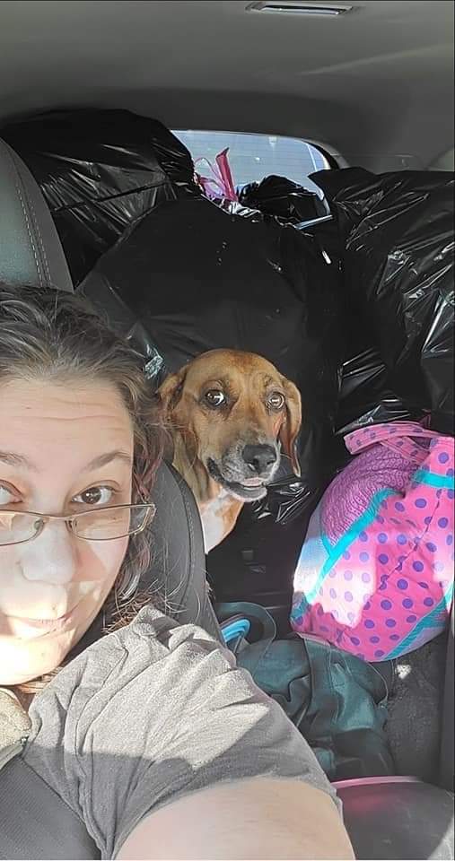 Jieshika415's tweet photo. 2 years ago @Chasemadgamer and I said good bye to our baby girl. There's not a day I don't miss her and think of her. #RIPTesla love you forever baby girl. You were my ride or die 💜 https://t.co/6Ttdv70eLz