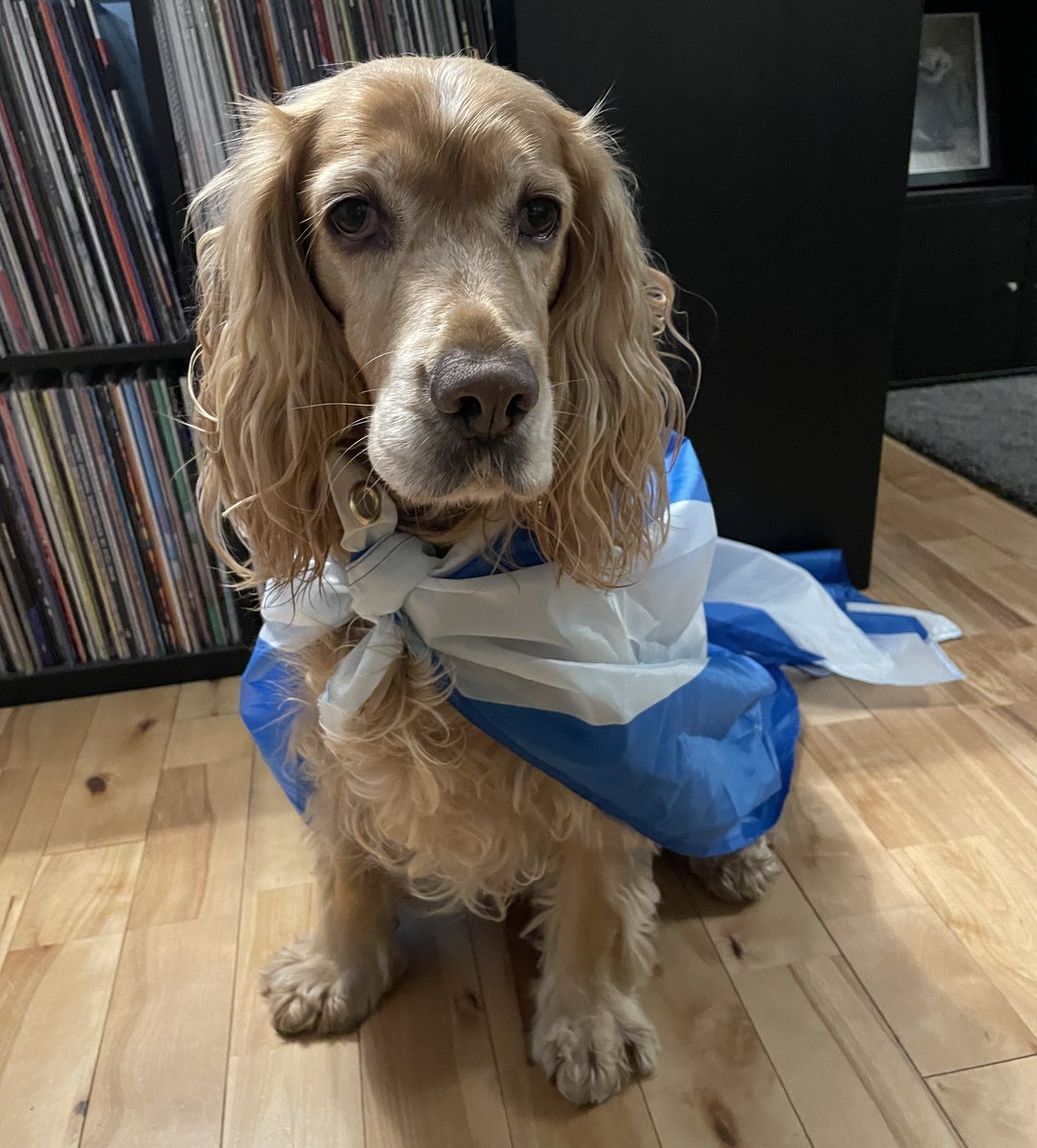 Kenny Stewart tweet media