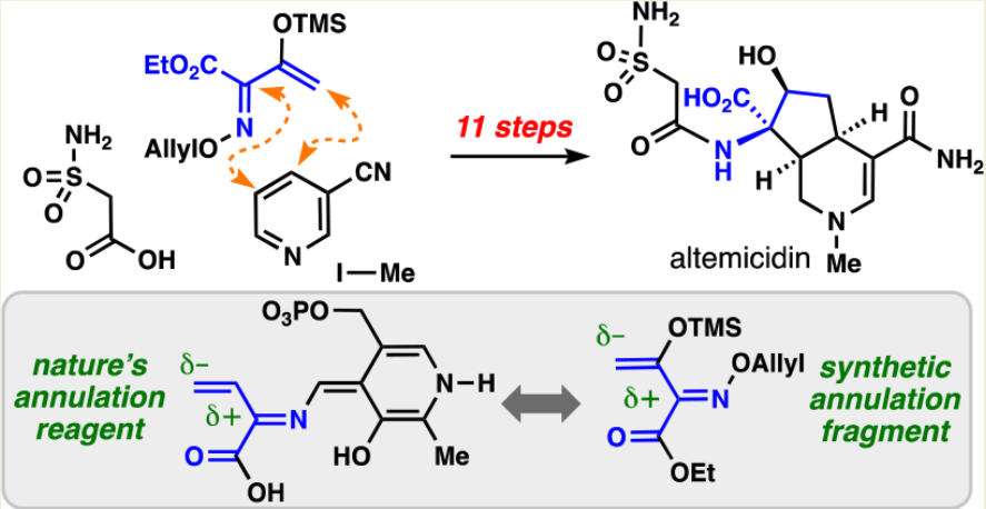 Total Synthesis tweet media