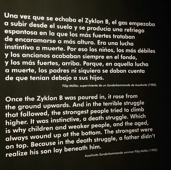 Auschwitz Exhibition tweet media