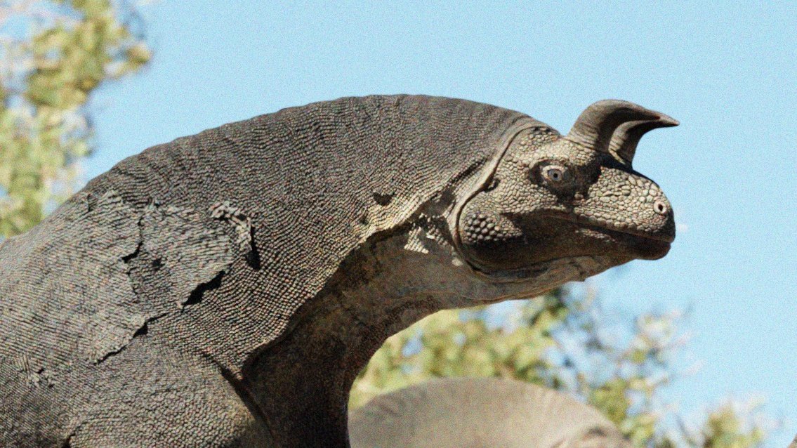 XtinctDesign tweet media