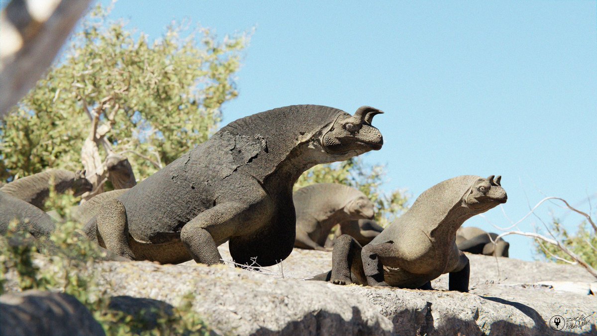 XtinctDesign tweet media