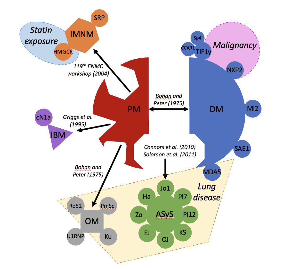 Thought I would share our original concept of the changing face of how we diagnose inflammatory myopathy / myositis (courtesy of Thomas Khoo). The colour version is more impactful than what made it to the review nature.com/articles/s4158… [nature.com]