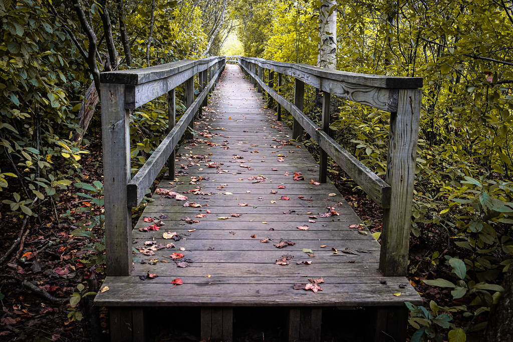 Cape Ann Photos:  Stepping into fall dlvr.it/SxPR9C