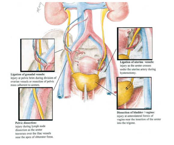 The Urology Guy tweet media