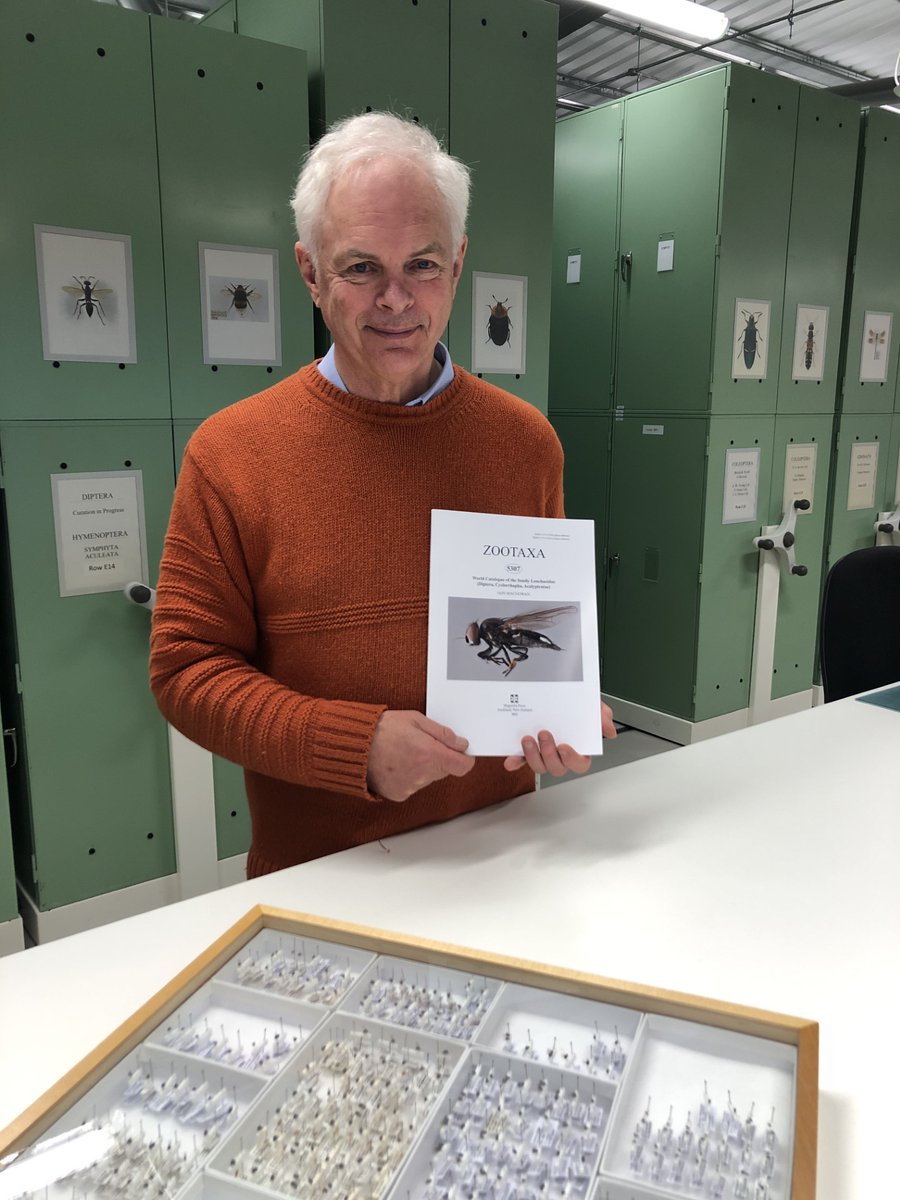Feeling FLY! 

Here's our research associate <a href="/imag15621152/">o</a> holding a printed copy of his Catalogue of World Species of Lonchaeidae (Lance Flies). 🌏🪰

An impressive piece of work, covering 611 species 👏
🔗 mapress.com/zt/article/vie…

#Taxonomy #FlyFriday