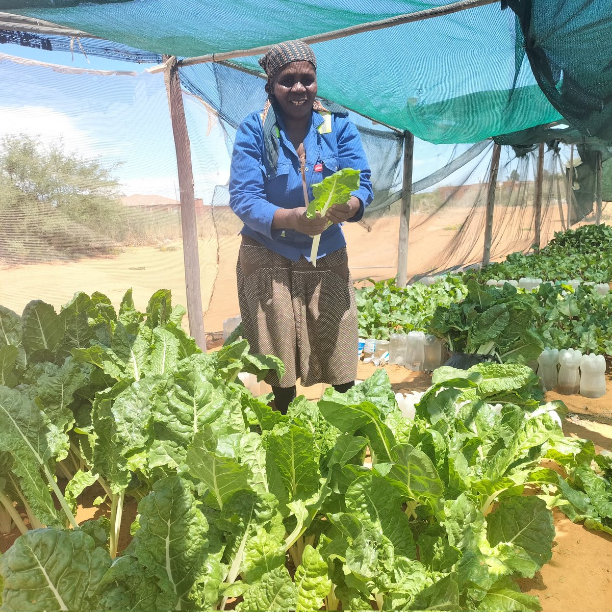 RedCross_Ncape's tweet image. Meet Mme Mogeri, working the ground growing vegetables voluntarily at Perth drop in centre, Kuruman with no resources. Today like always she was handing out spinach to about 130 elderly &amp;amp; the sick at no cost.