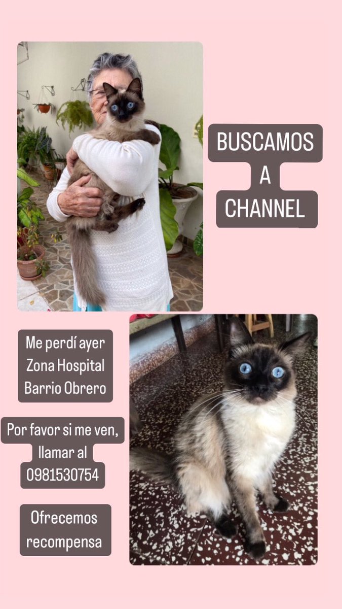 Si me ayudan con un rt por favor 🙏