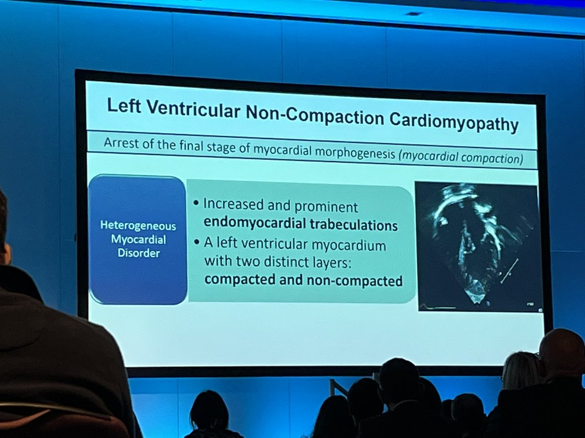 LVNC in echo - always a challenge 

#BSEcho2023